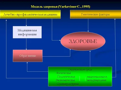 Внешняя и внутренняя среды организации. (Тема 3) - презентация онлайн