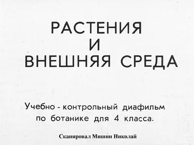 Аутизм: гены или внешняя среда? - 