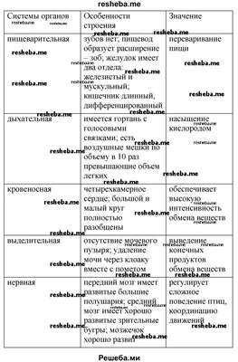 Calaméo - Путевой лист сотрудников Морфологической лаборатории