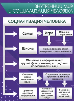 Стенд информационный для кабинета обществознания "Внутренний мир  социализация" 0,5*0,7м. арт.ОБ3711 купить в Челябинске по низкой цене с  доставкой по России | Интернет-магазин «Раскрась детство»