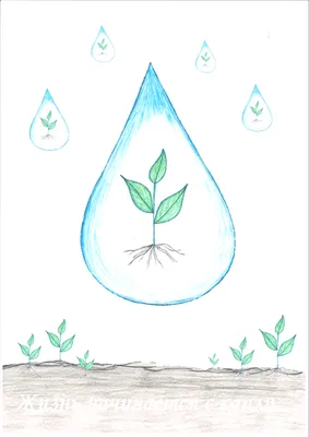 Вода-источник жизни. Польза воды! | Мир полезного и Красивого | Дзен