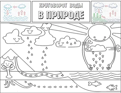 Раскраски Круговорот воды в природе для детей (36 шт.) - скачать или  распечатать бесплатно #25096