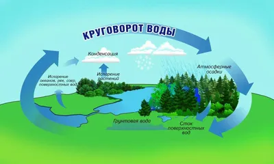 Плакат. Состояние воды: Формат А2 – купить по цене: 101,70 руб. в  интернет-магазине УчМаг