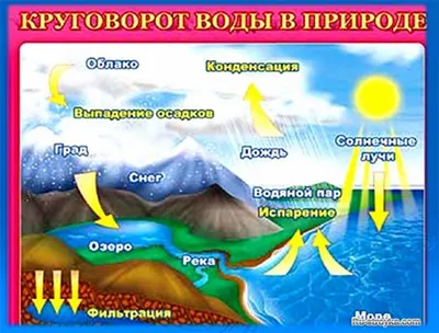 КОНСПЕКТ ОРГАНИЗОВАННОЙ ОБРАЗОВАТЕЛЬНОЙ ДЕЯТЕЛЬНОСТИ "ВОЛШЕБНИЦА ВОДА" С  ДЕТЬМИ 5-6 ЛЕТ – тема научной статьи по наукам об образовании читайте  бесплатно текст научно-исследовательской работы в электронной библиотеке  КиберЛенинка