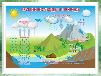 Картинки круговорота воды в природе (40 картинок) - Pichold