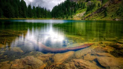 картинки : море, воды, природа, снег, зима, небо, утро, берег, озеро,  мороз, река, поток, Лед, Размышления, Быстрый, Синий, время года, водное  пространство, Зимний пейзаж, Деревьями, на открытом воздухе, Замораживание,  Сибирь, Отражение в