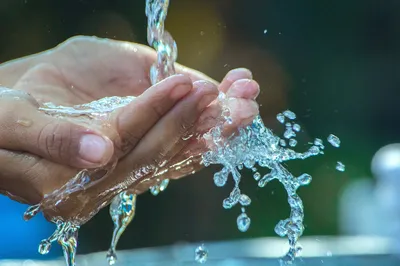 Руки Вода Стирка - Бесплатное фото на Pixabay - Pixabay