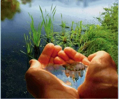 Обои руки, вода, якорь, погружение, символический картинки на рабочий стол,  фото скачать бесплатно