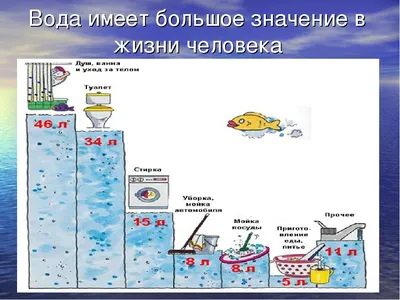 Вода – источник жизни | 