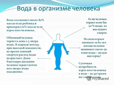 Ответы | § 8. Геоэкологические особенности гидросферы — География, 11 класс  | Супер Решеба