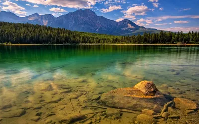 Магниевая минеральная вода для организма - О пользе магниевой воды