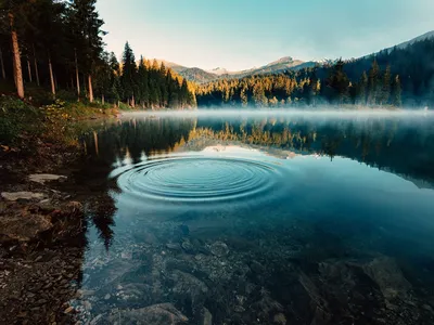 Вода в природе - фото и картинки: 61 штук