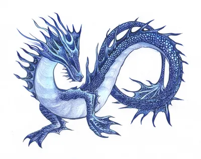 Водяной дракон рисунок - 41 фото