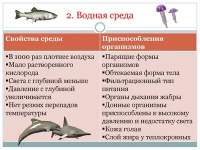 Среды жизни и места обитания животных. Взаимосвязь животных в природе -  презентация онлайн