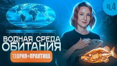 Основные среды жизни