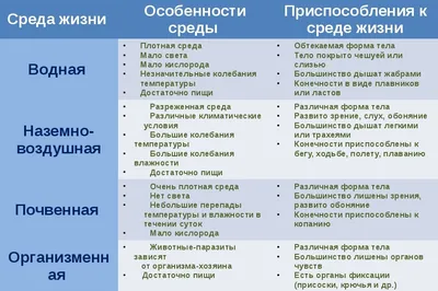 Сайт учителей биологии МБОУ Лицей № 2 города Воронежа