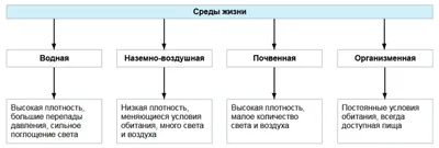 Рабочий лист по теме «Водная среда обитания»