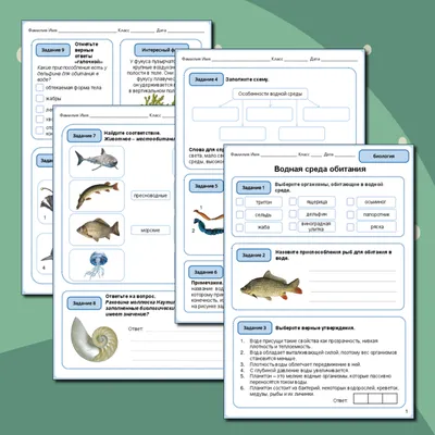 Рабочий лист по биологии "Водная среда обитания"