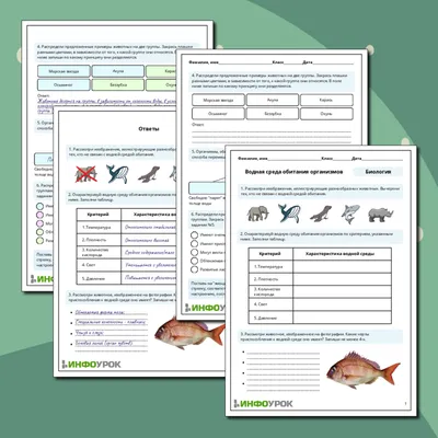 PPT - Три среды обитания Д/з-с.118- 122; р.т. -с. 66-68 PowerPoint  Presentation - ID:3180530