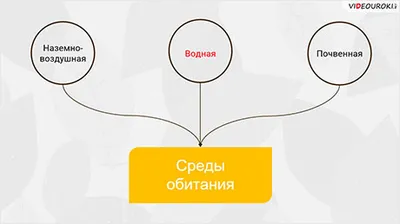 ВОДНАЯ СРЕДА ОБИТАНИЯ (5/6) | Солёность и всё об осмосе | ЕГЭ-2024 по  биологии - YouTube