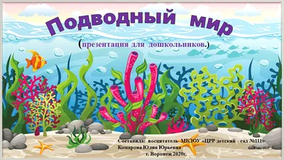 Морские животные для детей Подводный мир Морские обитатели для детей -  YouTube