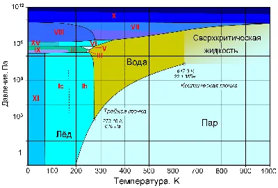 Водный мир на ткани. Блог Школы. Новости, идеи, фото, видео