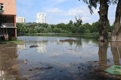 В региональном Минприроды объяснили, почему затопило стадион «Красная звезда»  - Новости Калининграда - Новый Калининград.Ru