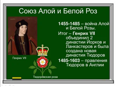 Читать "Война Алой и Белой розы. Крах Плантагенетов и воцарение Тюдоров" -  Джонс Дэн - Страница 1 - ЛитМир Club