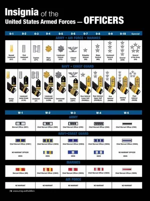 Вооруженные силы США: воинские звания, знаки различия и униформа - учебные  плакаты | Учебные плакаты, Плакат, Ввс