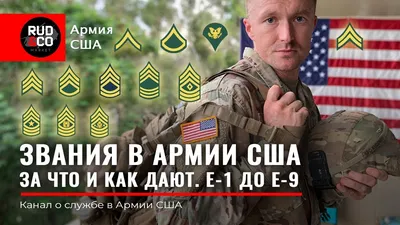 Армия, Знаки отличия звания армии США, сержант, сержант-майор, воинское  звание, первый сержант, старший сержант, сержант-майор армии, площадь,  шеврон, главный мастер сержант png | PNGWing