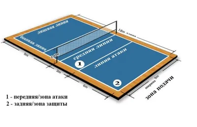 Спорт в твоем дворе. Волейбол. Правила перехода мяча на сторону соперника