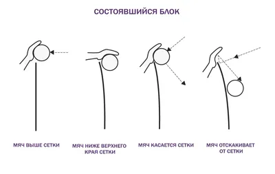 История волейбола и правила игры. | Здоровье, медицина и спорт | Дзен