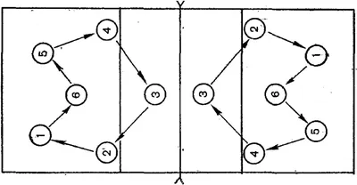 Основные правила игры в волейбол: действие игроков, судейство