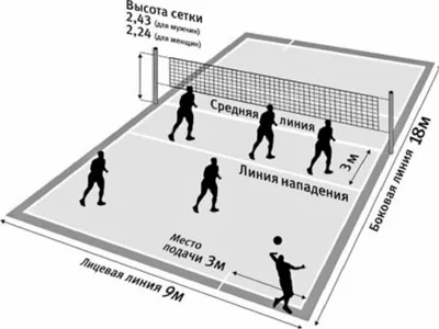 Портал фізичної підготовки: Правила гри у ВОЛЕЙБОЛ