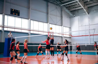 Женский пляжный волейбол: на снимках не спорт, а части тела (The Huffington  Post, США) | , ИноСМИ