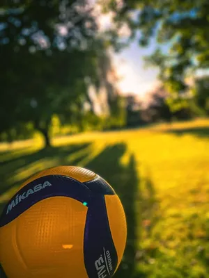 Passion | Fotos de voleibol, Fondo de pantalla de voleibol, Voleibol