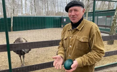 Vogelpark Steinen - Изюминка в Шварцвальде