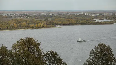 Река стала цепью водохранилищ». Эколог о состоянии Волги и ее будущем |  ОБЩЕСТВО | АиФ Саратов