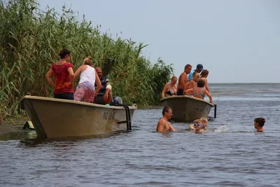 картинки : Волга, река, Деревьями, горизонт, пляж, воды, небо, лето, водное  пространство, природа, Растительность, Синий, окружающая среда, Прибрежные  и океанические рельефы, Природный ландшафт, водные ресурсы, пейзаж,  жидкость, банка, Аква, Экорегион ...