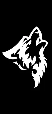 Волк черно белый - 53 фото: смотреть онлайн