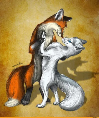 Создать мем "любовь волка и лисы, фурри волк арт, рыжий волк и лиса арты" -  Картинки - 