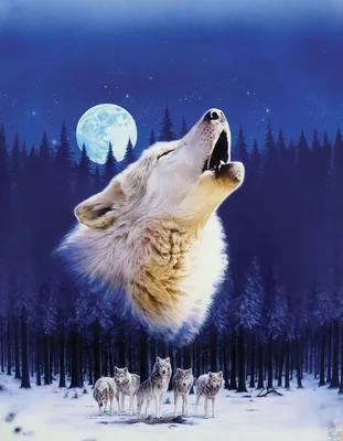 Животные, #Волки, #Луна, #аватары, #картинки, #фото, #авы,  /kartinka/3241 | Wolf howling, Wolf art, Wolf spirit  animal