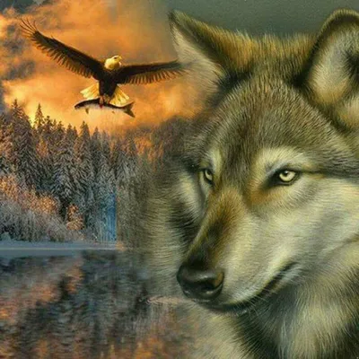 Охота на волка с беркутом | Честно_f | Дзен