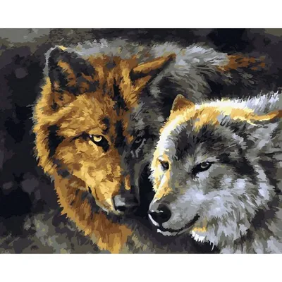 Волк и волчица, 60х45 см. недорого