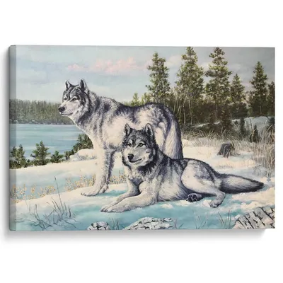 Волк волчица и Волчонок - 60 фото | Волчата, Дикие животные, Животные