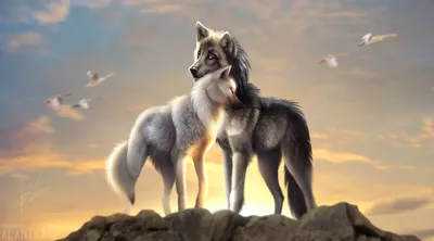 Collection D'Art Волк и волчица