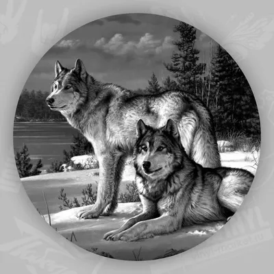 Наклейка на запаску "Волк с волчицей"