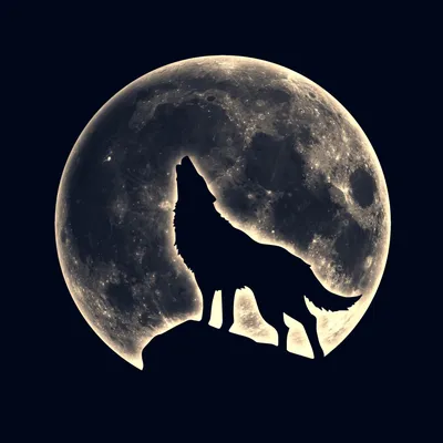 Волк воющий на луну обои. Обои волки | Fantasy wolf, Wolf background, Wolf  wallpaper