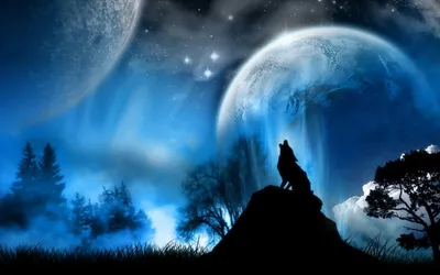 Волка воющего на луну картинки