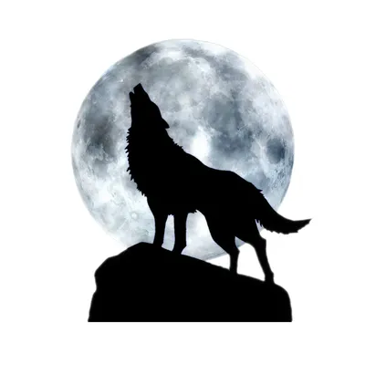 Волк воющий на луну гиперреализм» — создано в Шедевруме
